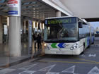 palma airport bus